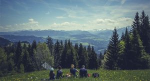 Lire la suite à propos de l’article MON TRAIL DES ALPES-MARITIMES 2013